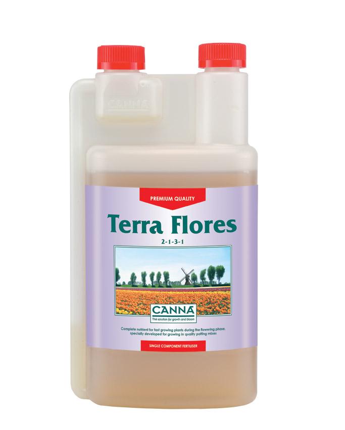 CANNA TERRA Flores